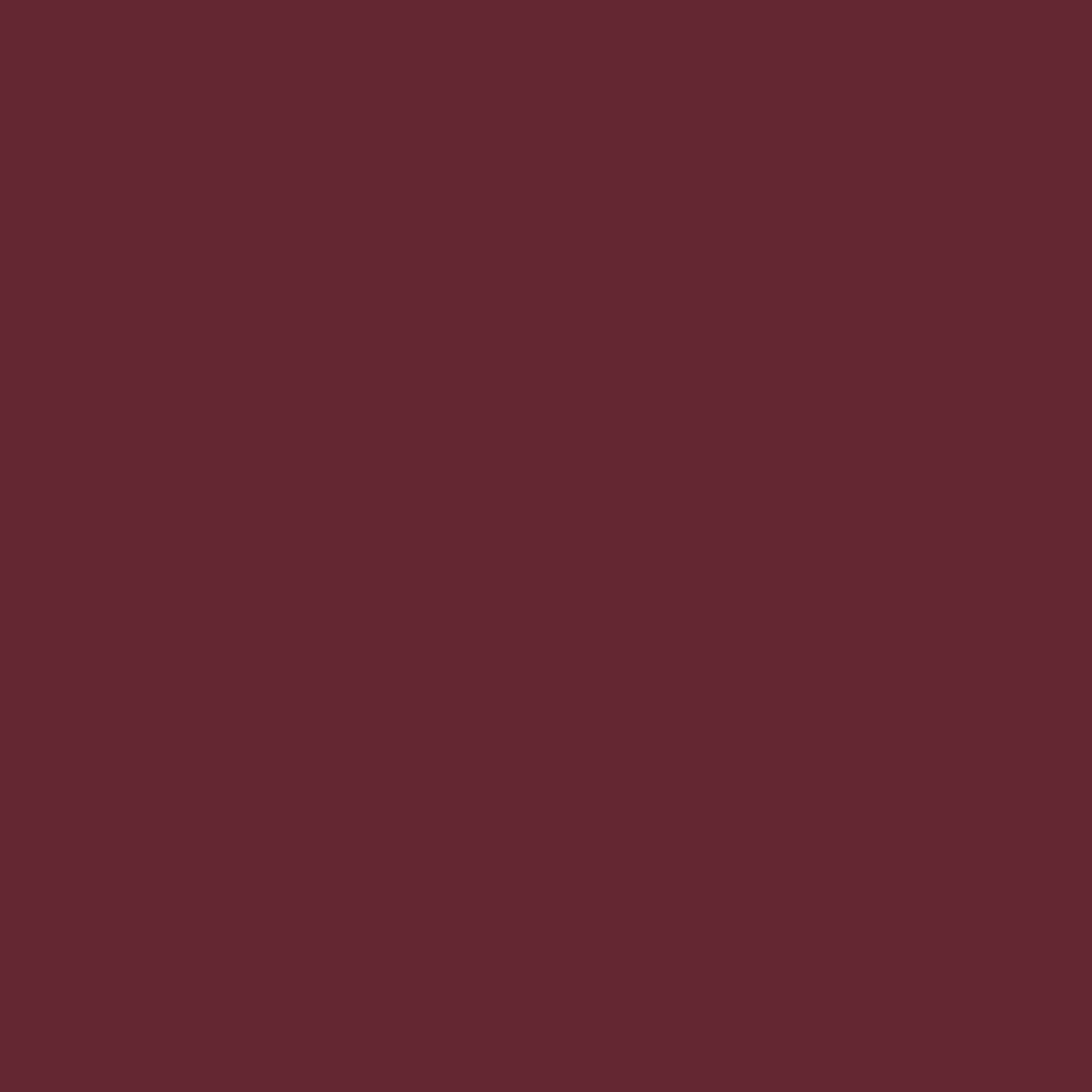 Aubergine Lamb Clothing Leather - Image 2