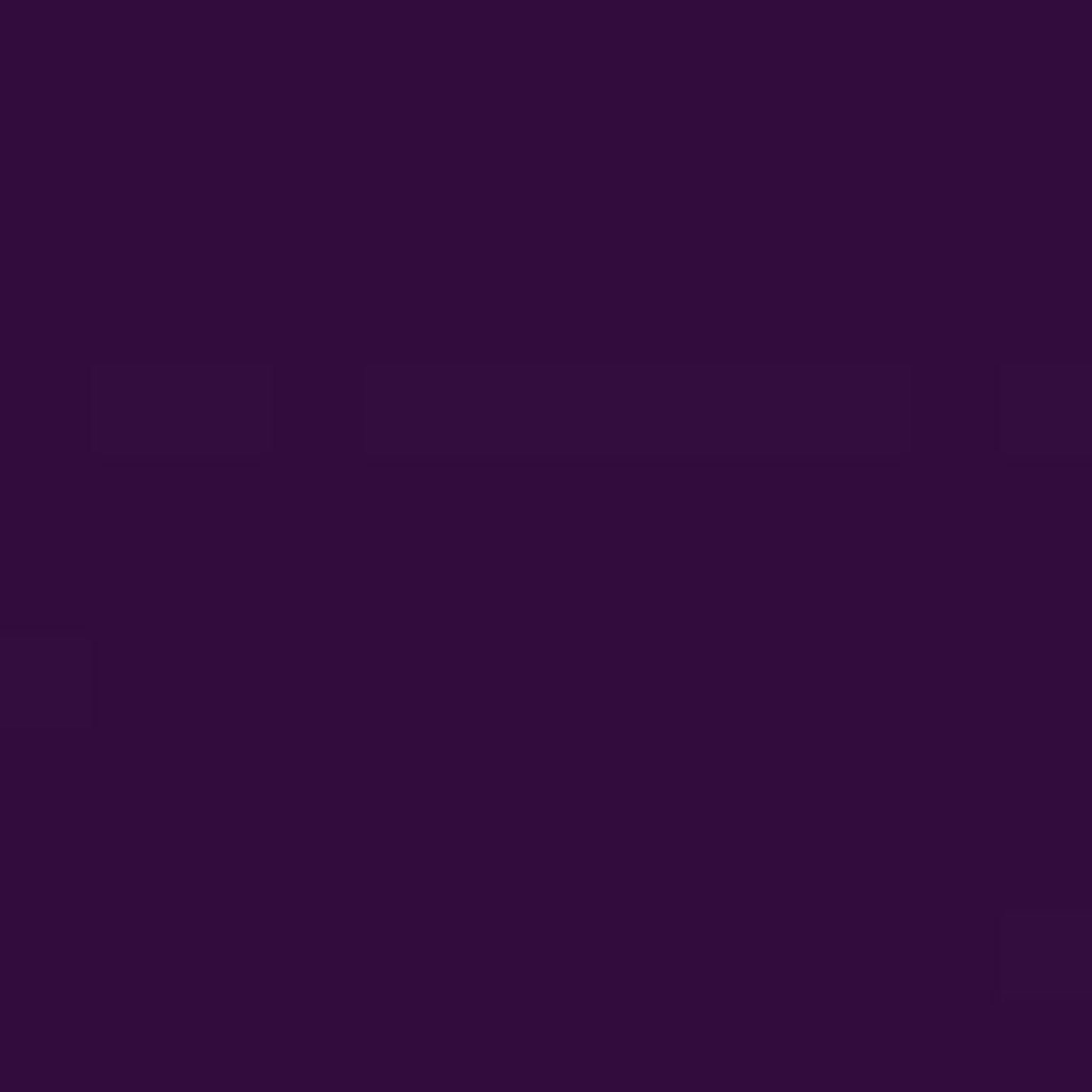 Dark Purple Lamb Clothing Leather - Image 2