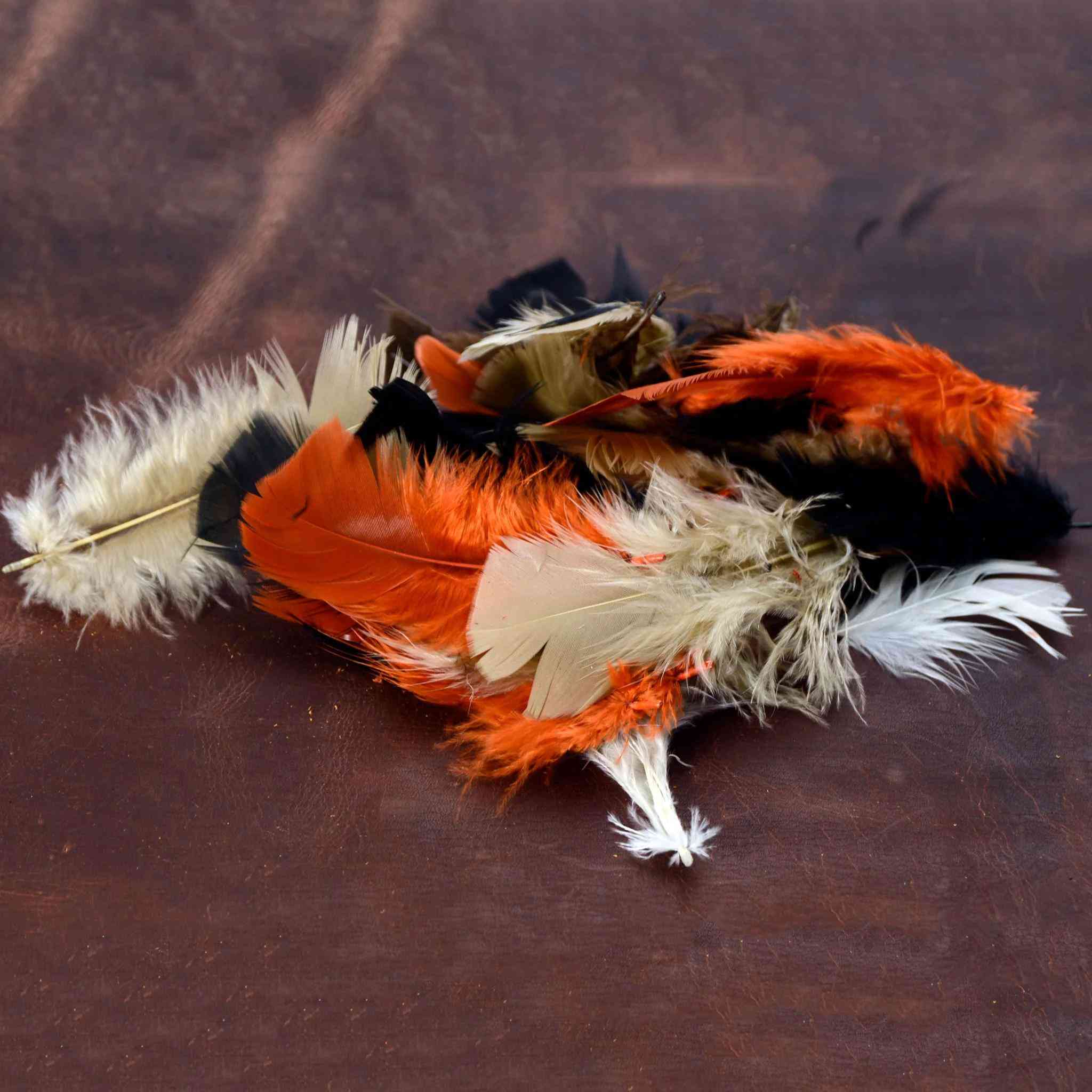Assorted Tip Plume Feathers