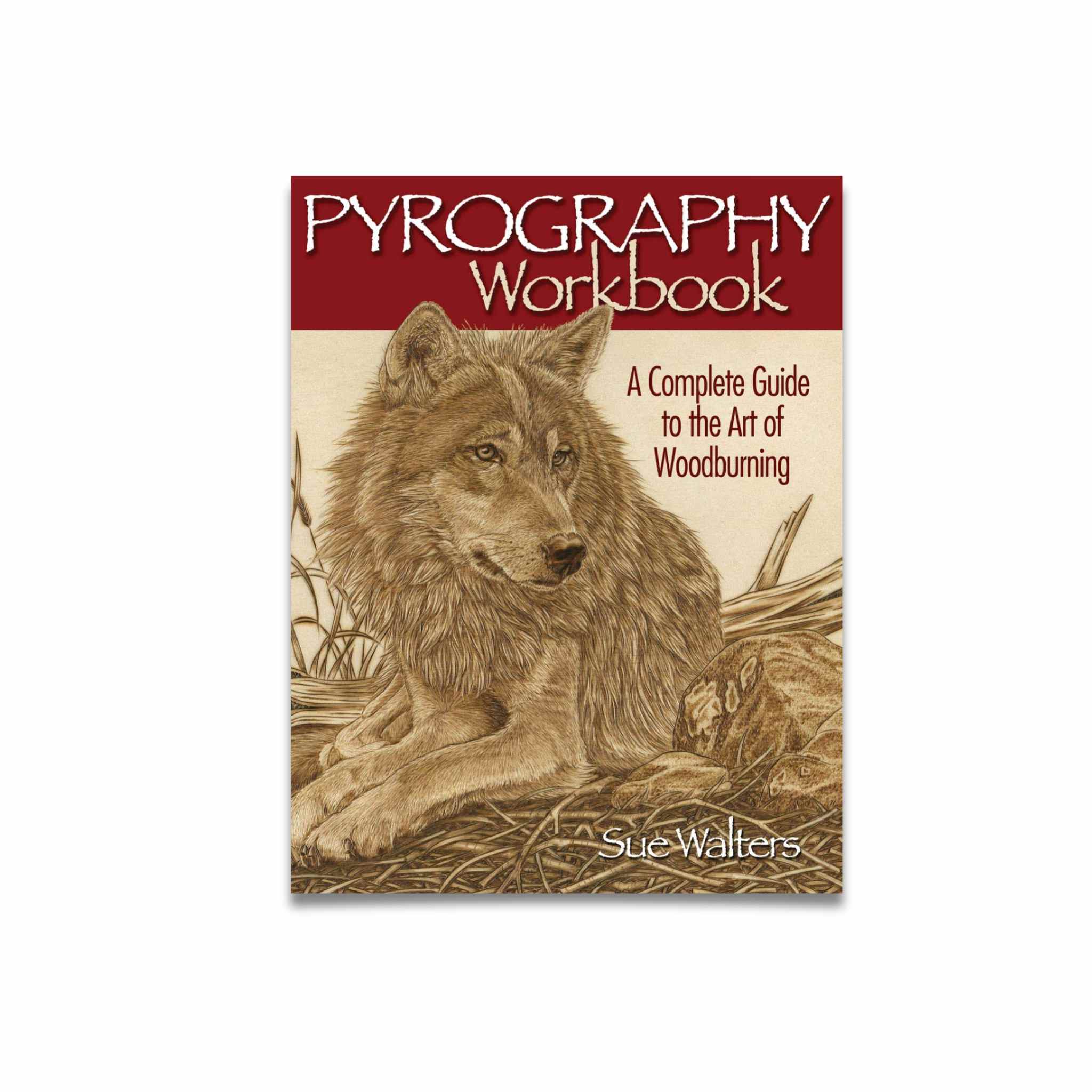 Pyrography Workbook by Sue Walters