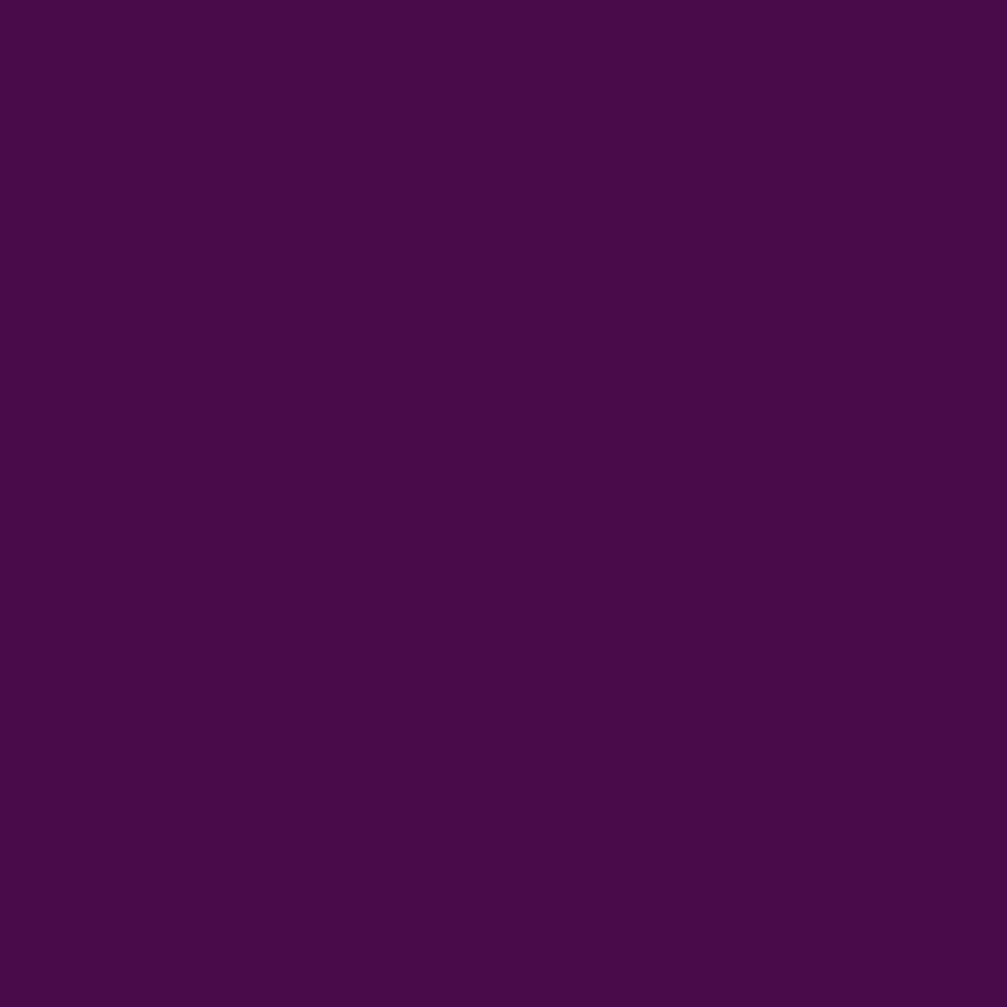 Violet Lamb Clothing Leather - Image 2